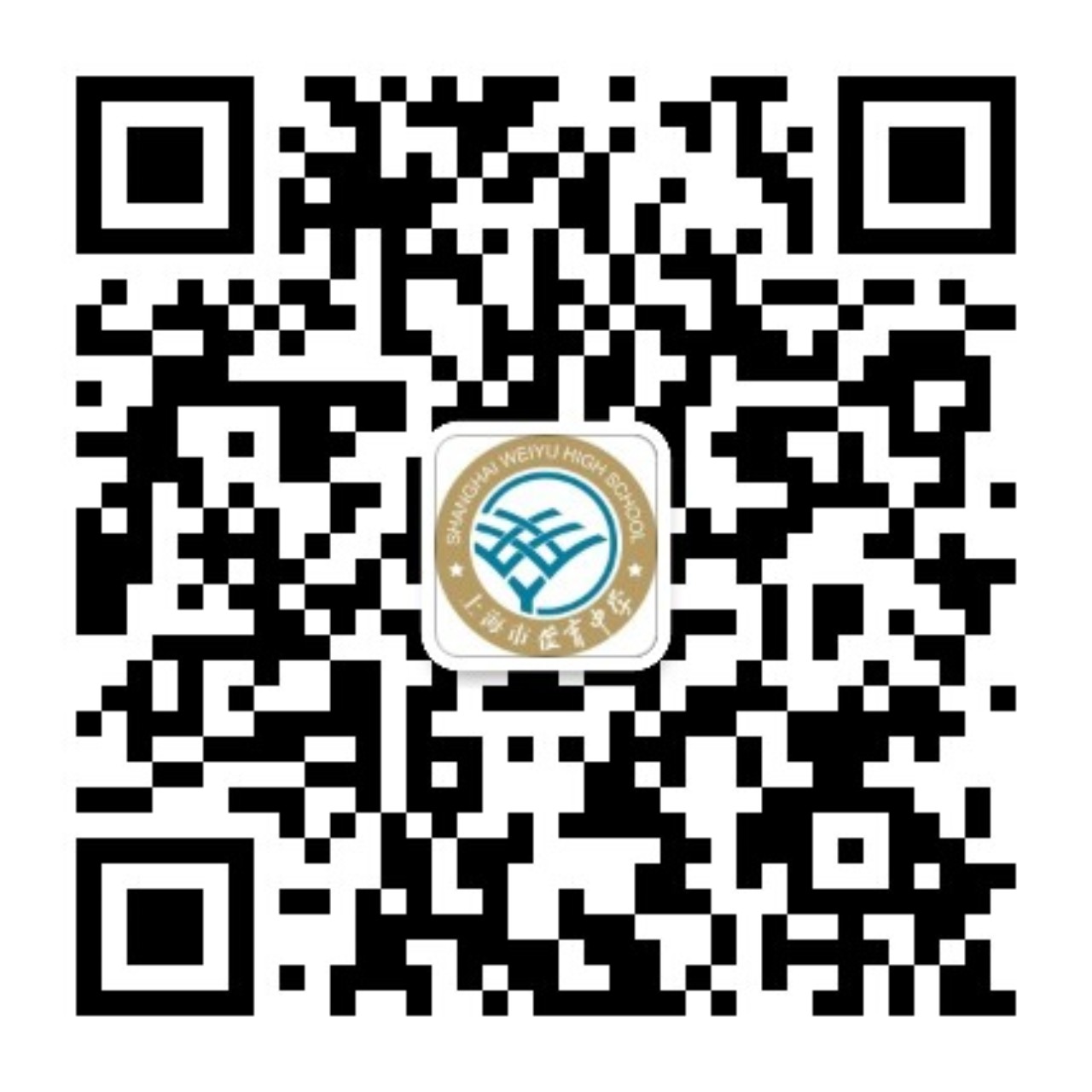 1741596040427864.jpg